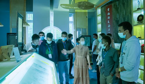 中外青年南充共賞非遺文化 中秋佳節品味巴蜀魅力