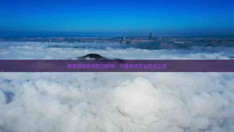 游客探尋四川風情 川港兩地文化交流之旅